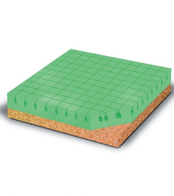 Eco Plus Foam Cushion